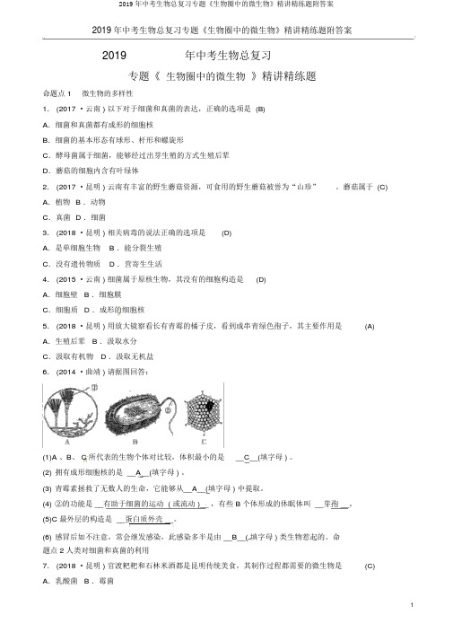 2019年中考生物总复习专题《生物圈中的微生物》精讲精练题附答案