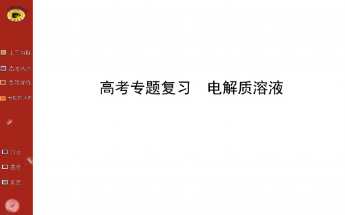 高考专题复习电解质溶液