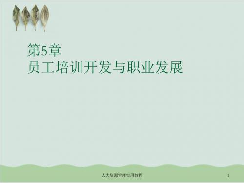 员工培训开发与职业发展PPT课件( 34页)