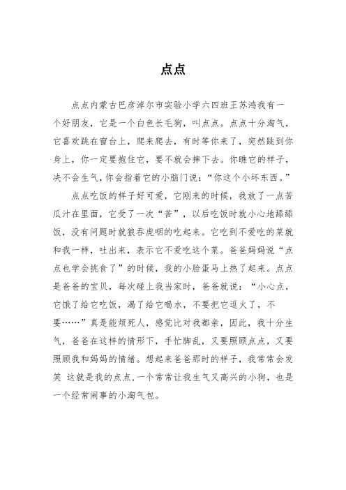 小学六年级作文：点点