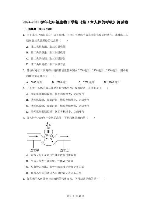 2024-2025学年七年级生物下学期《第3章人体的呼吸》测试卷及答案解析