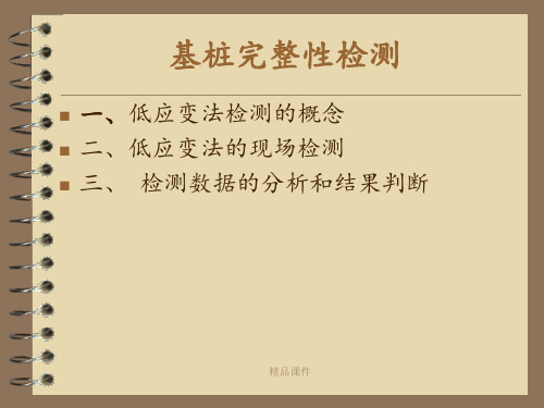 低应变检测图解