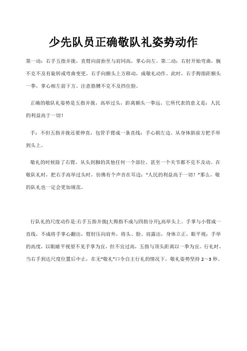 少先队员正确敬队礼姿势动作