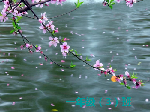 一年级下学期期末复习家长会PPT课件