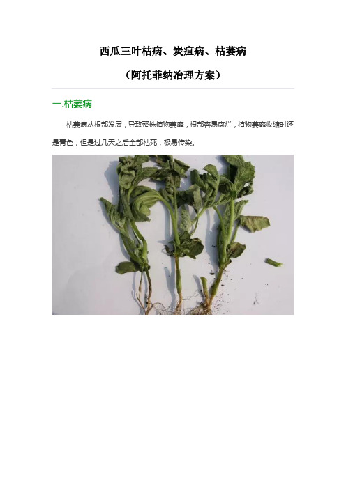 叶枯病、炭疽病、枯萎病--阿托菲纳方案