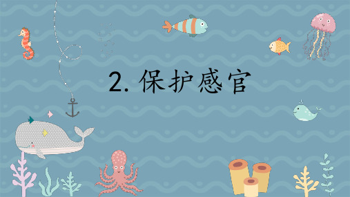 保护感官 教学课件