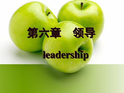 管理学第六章领导