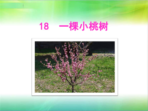 18一棵小桃树(优秀课件)