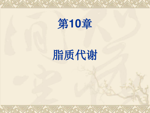 生物化学第10章 脂质代谢