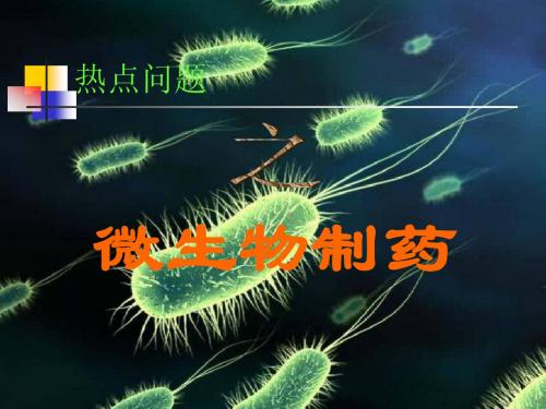 微生物制药