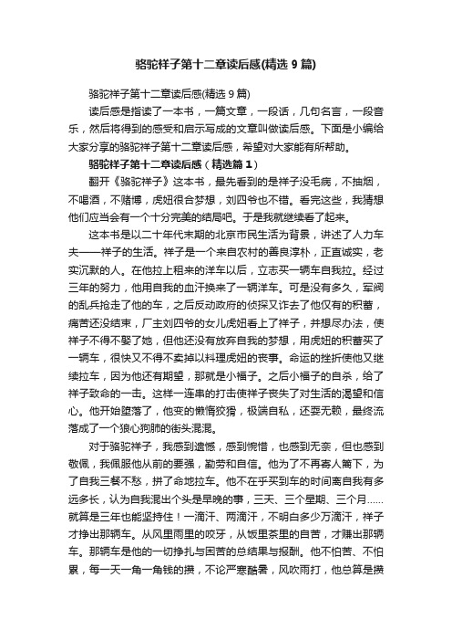 骆驼祥子第十二章读后感（精选9篇）