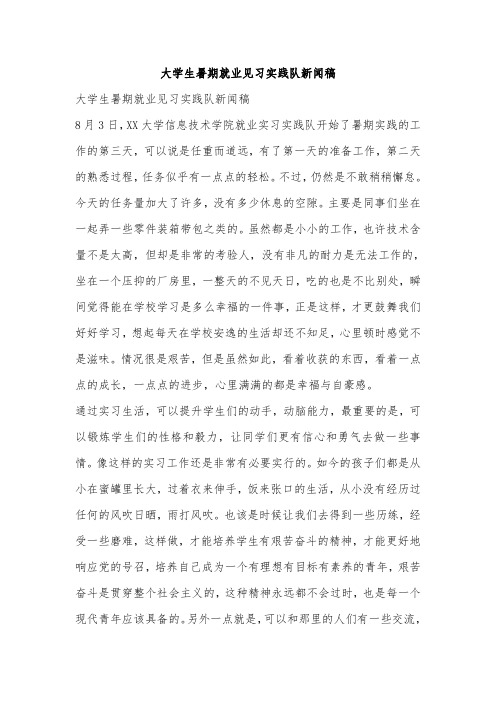 大学生暑期就业见习实践队新闻稿