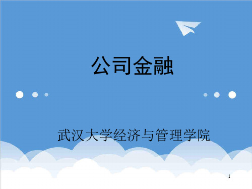 价值管理-第01章公司价值最大化 精品