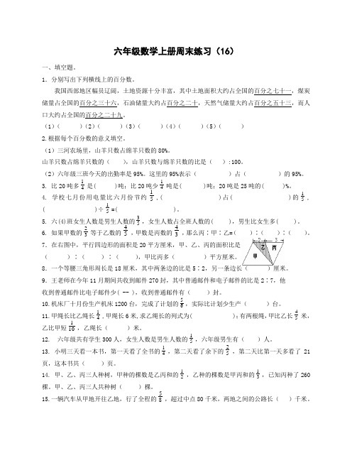 六年级数学上册周末练习(16)