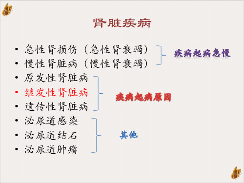 继发性肾脏病PPT课件