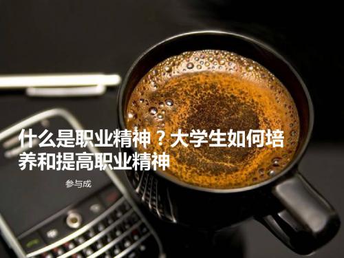 什么是职业精神 (2)