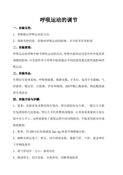 6呼吸运动的调节
