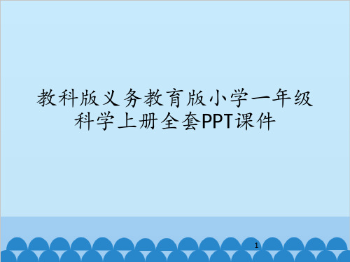 教科版义务教育版小学一年级科学上册全套PPT课件