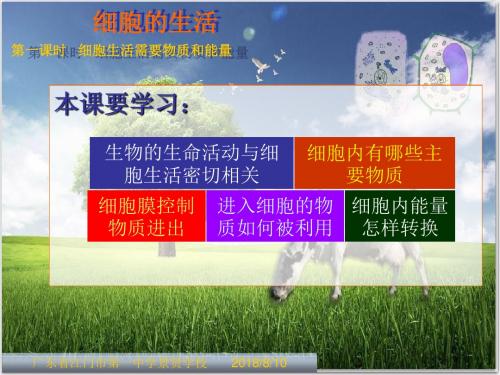 人教七年生物上册《2.2.4细胞的生活》课件(共18张PPT)