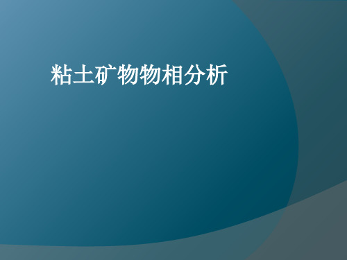 粘土矿物物相分析