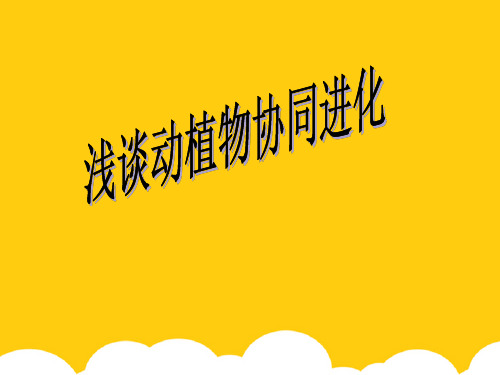 浅谈动植物协同进化ppt实用资料