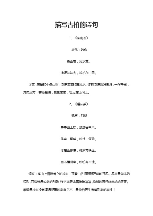 描写古柏的古诗词