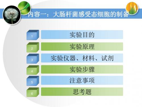 实验大肠杆菌感受态细胞的制备及转化