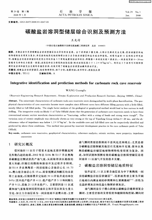 碳酸盐岩溶洞型储层综合识别及预测方法