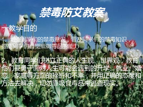 小学禁毒防艾教育完整ppt课件