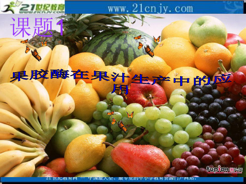 2020年生物：41《果胶酶在果汁生产中的应用》课件(1)(新人教版选修1)参照模板