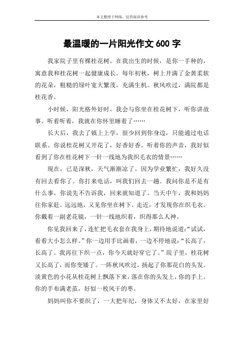 最温暖的一片阳光作文600字