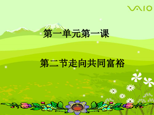 人教版道德与法治九年级上册第一课第二节 走向共同富裕  共23张PPT