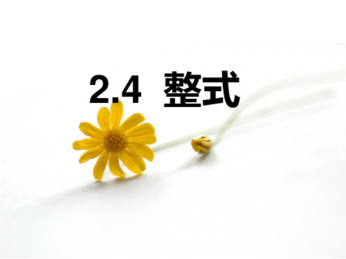 湘教版初中数学七年级上册整式精品课件