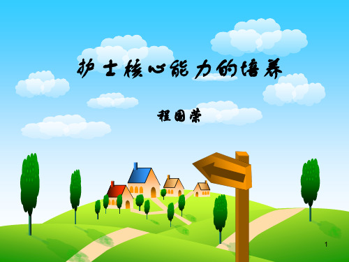 护士核心能力的培养PPT课件