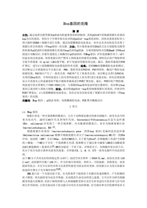 Bop基因的克隆