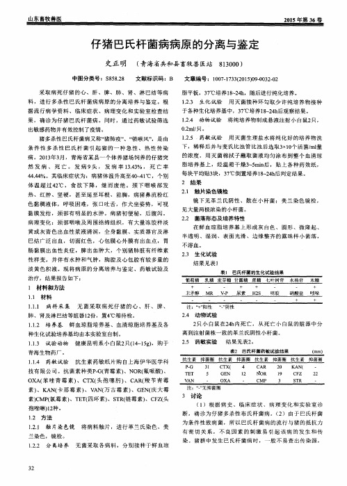 仔猪巴氏杆菌病病原的分离与鉴定