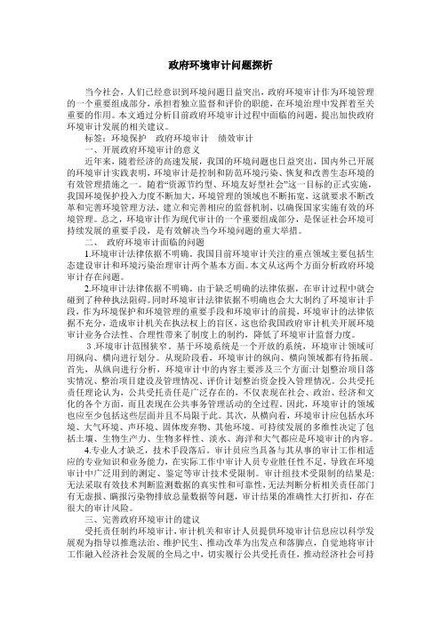 政府环境审计问题探析