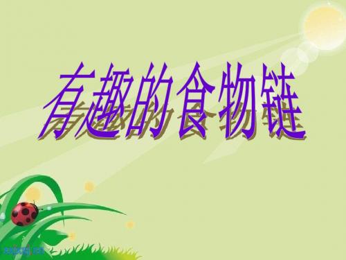四3有趣的食物链
