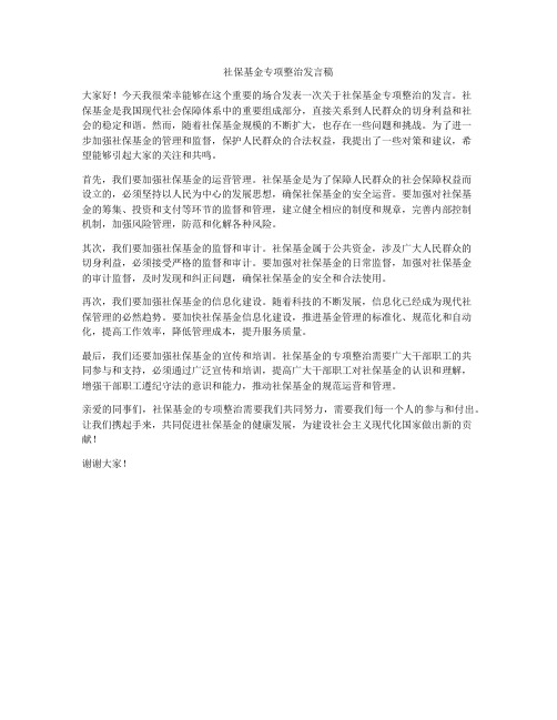 社保基金专项整治发言稿