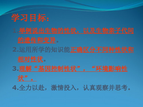 基因控制生物性状课件
