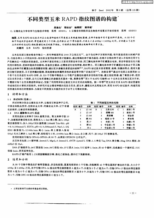 不同类型玉米RAPD指纹图谱的构建