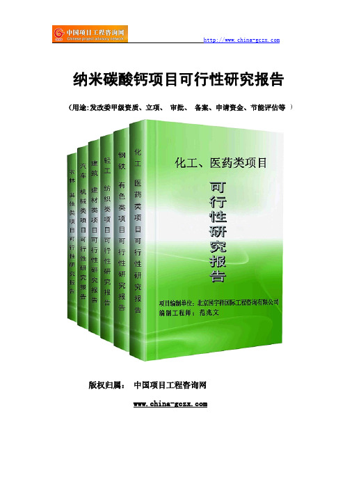 纳米碳酸钙项目可行性研究报告范文格式(专业经典案例)