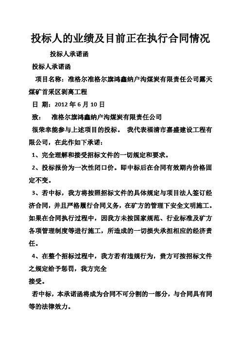 投标人的业绩及目前正在执行合同情况