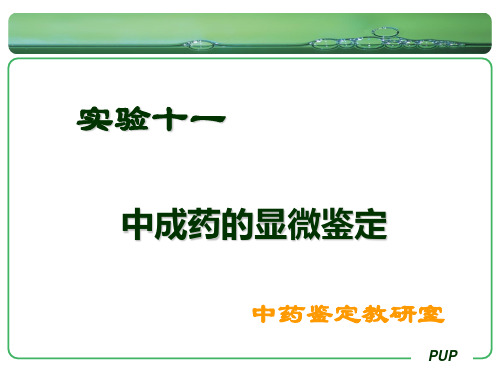 《中药鉴定学期末复习》实验十一 中成药的显微鉴定.