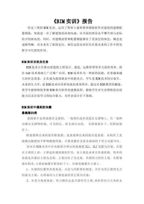 bim报告