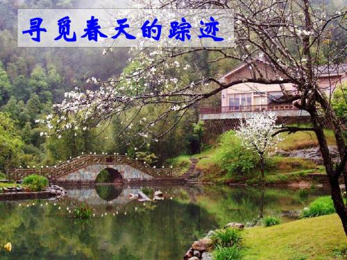 新课标语文课件寻觅春天的踪迹