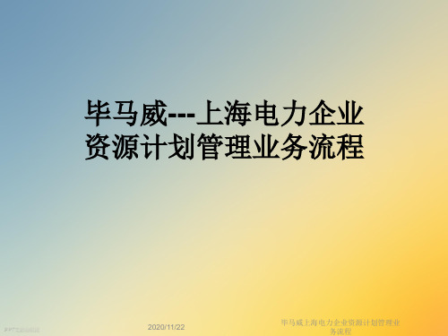 毕马威上海电力企业资源计划管理业务流程