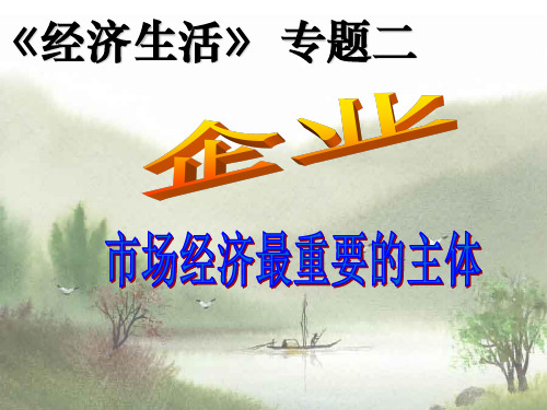 经济生活专题二 企业