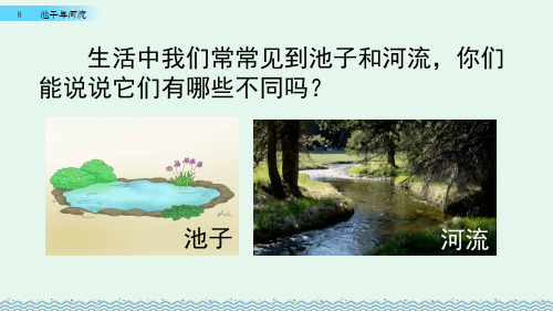 人教版三年级语文下册第二单元8 池子与河流