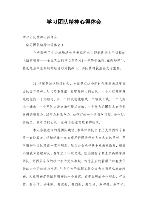 学习团队精神心得体会